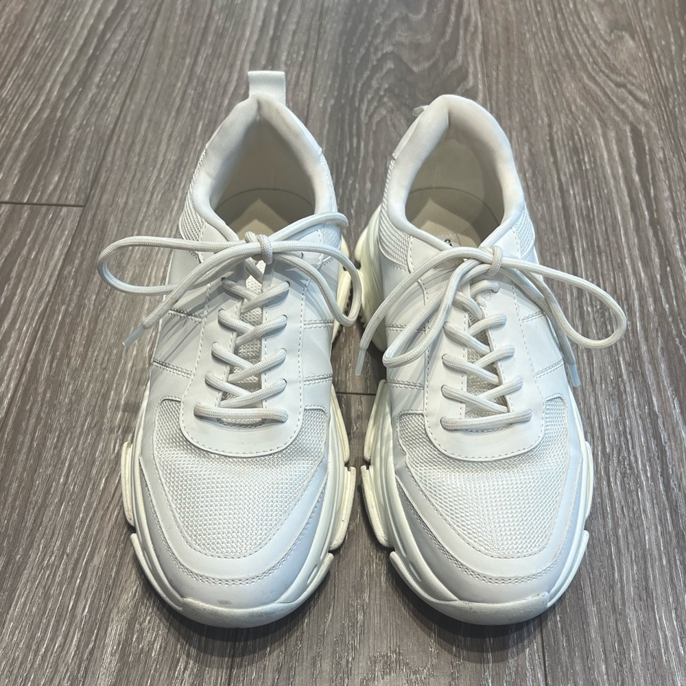 Steve Madden Dragon Sneakers